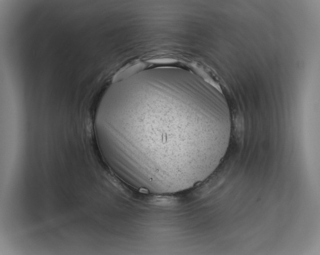 X0000111940617200908101203