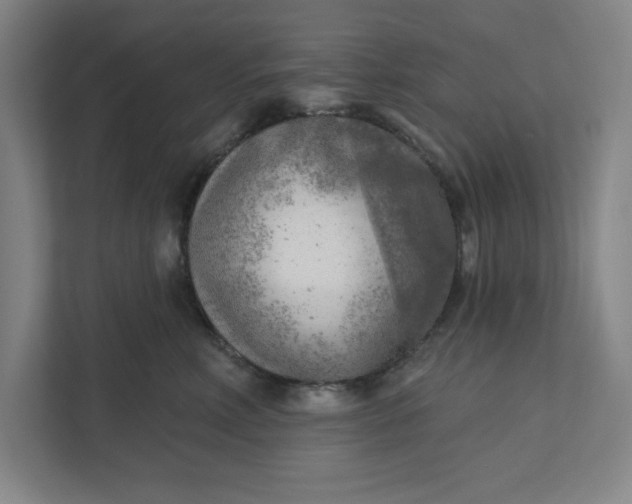 X0000111940618200908101203