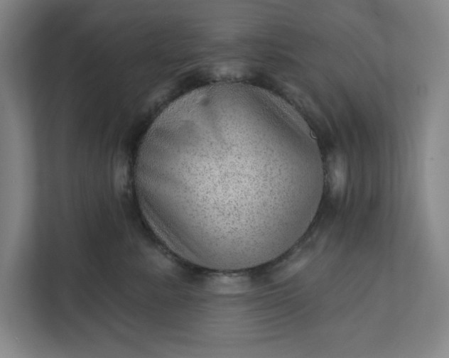 X0000111940619200908101203