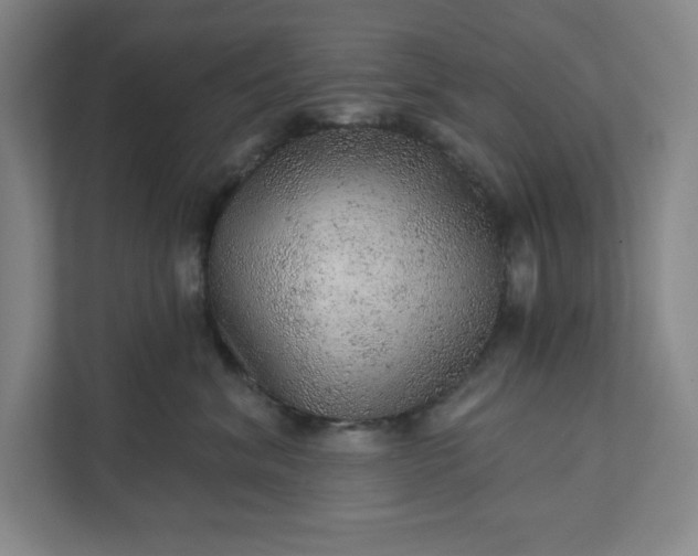 X0000111940620200908101203