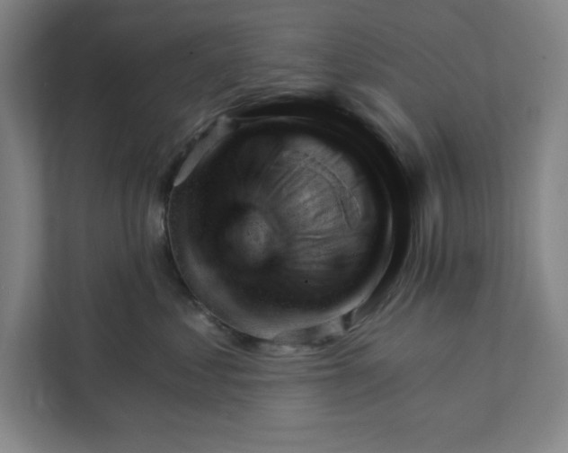 X0000111940621200908101203