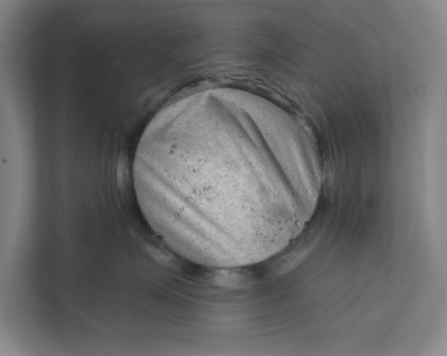 X0000111940623200908101203