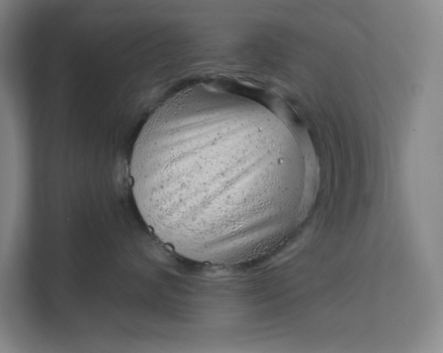 X0000111940624200908101203