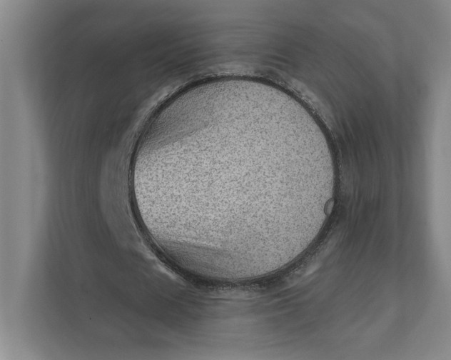 X0000111940625200908101202