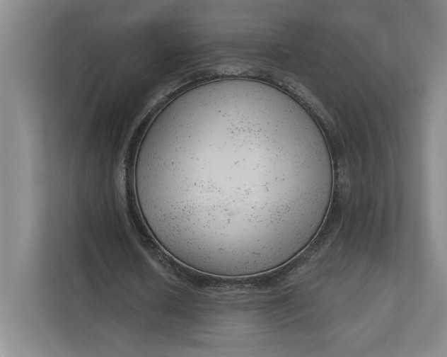 X0000111940626200908101202