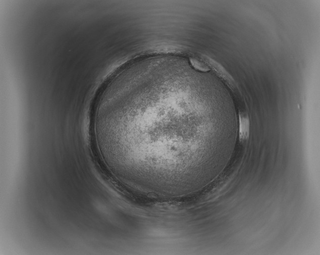 X0000111940627200908101202