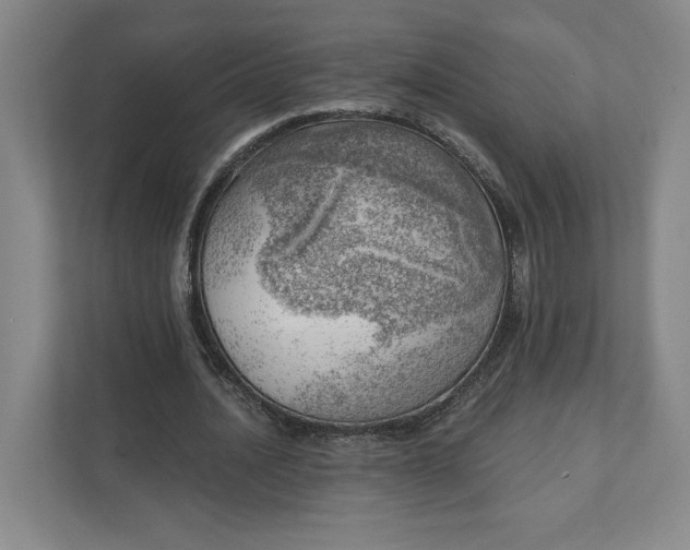 X0000111940628200908101202