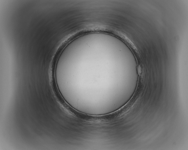 X0000111940629200908101202