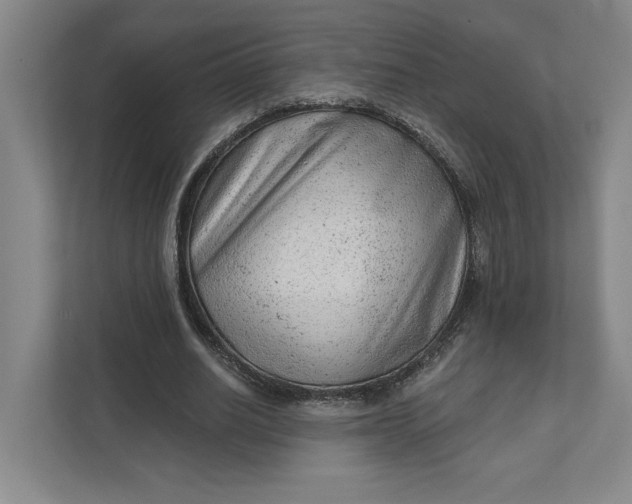 X0000111940630200908101203