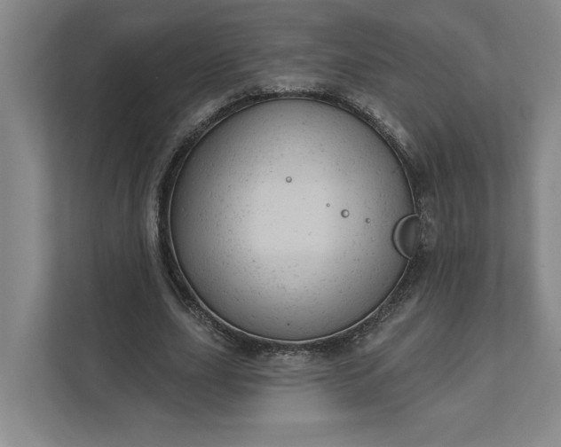 X0000111940631200908101203