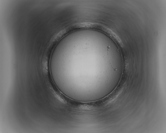 X0000111940633200908101203