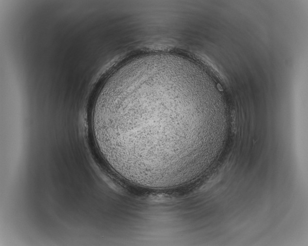 X0000111940634200908101203