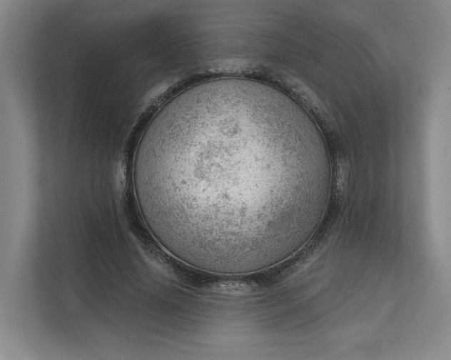 X0000111940636200908101203