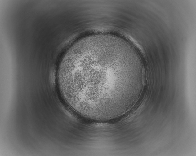 X0000111940637200908101203