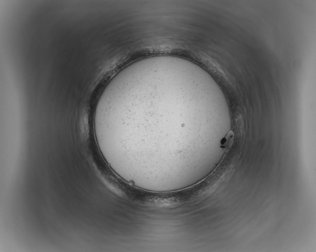 X0000111940638200908101203