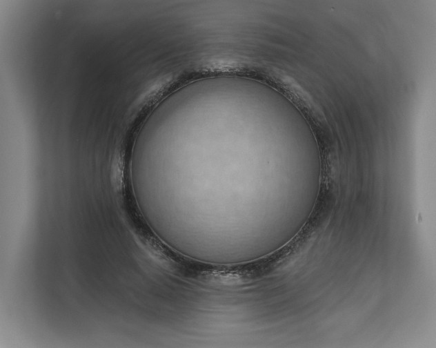 X0000111940640200908101203