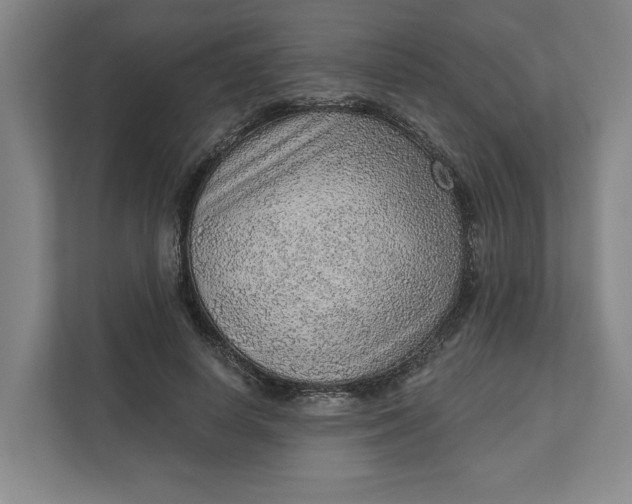 X0000111940642200908101203