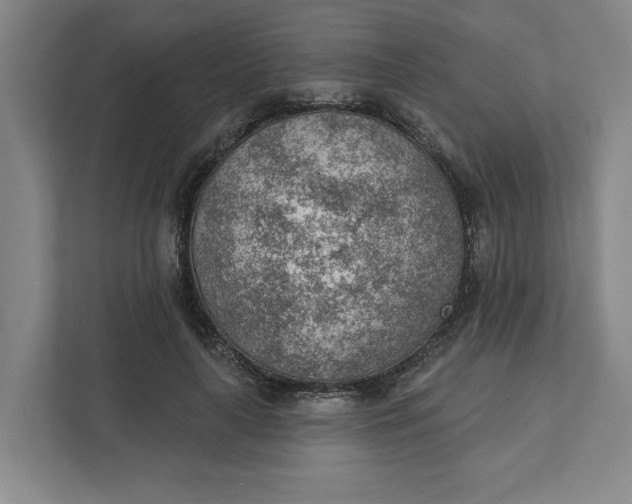 X0000111940643200908101203