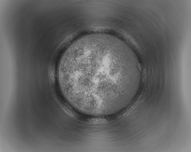 X0000111940644200908101203