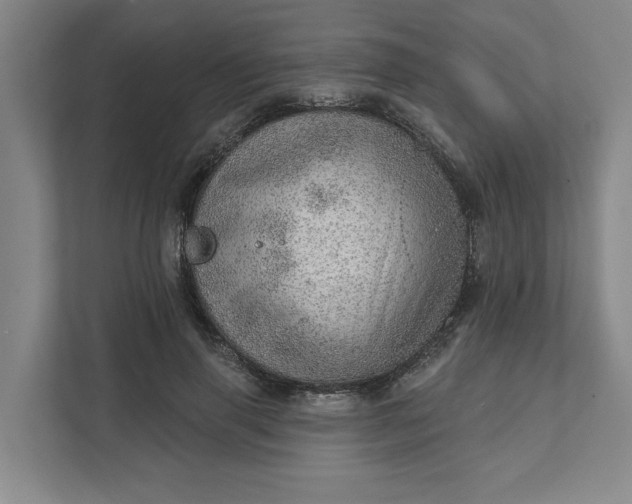 X0000111940645200908101203