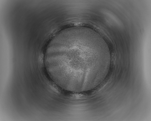 X0000111940650200908101203