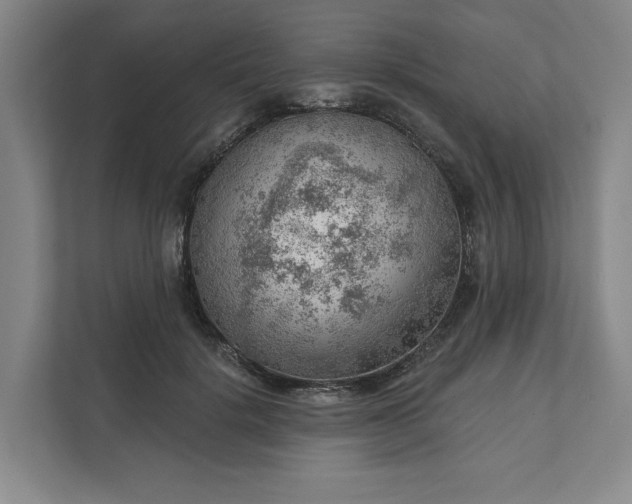 X0000111940652200908101203