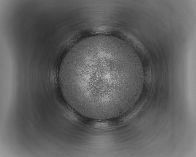 X0000111940653200908101203