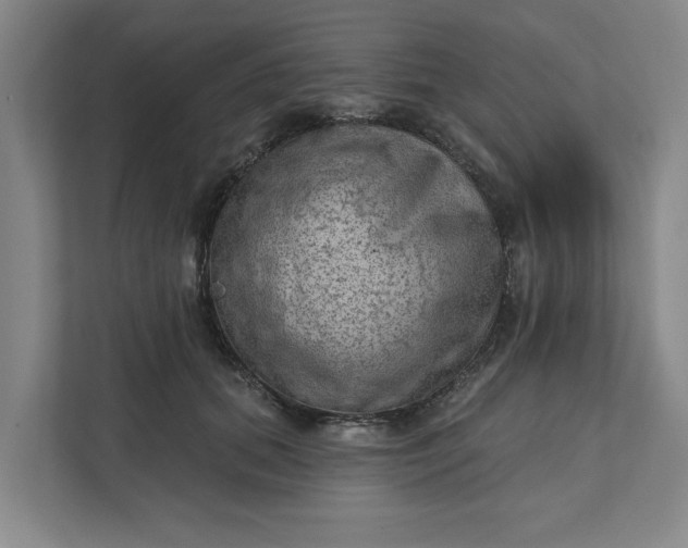 X0000111940655200908101203