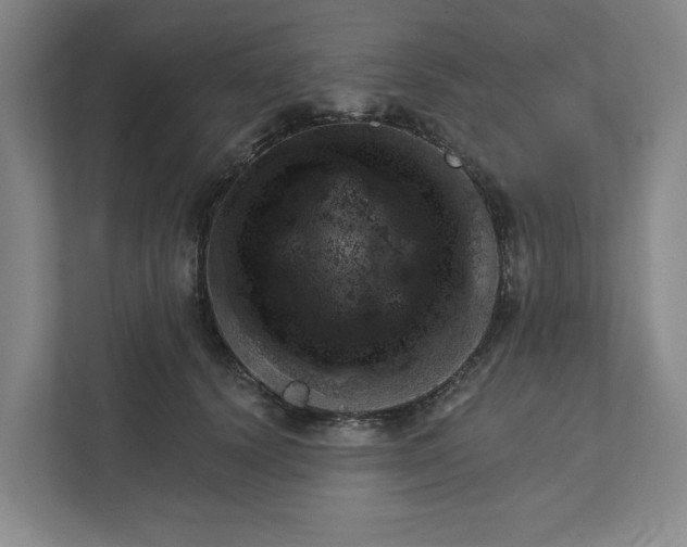 X0000111940656200908101203