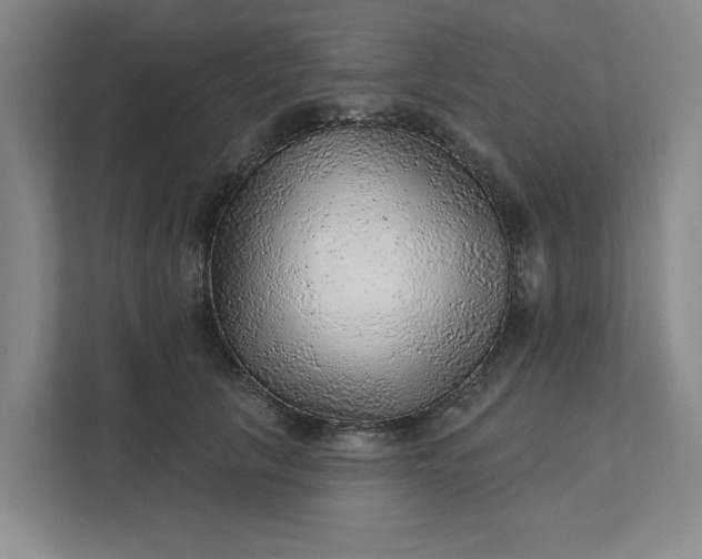 X0000111940657200908101203