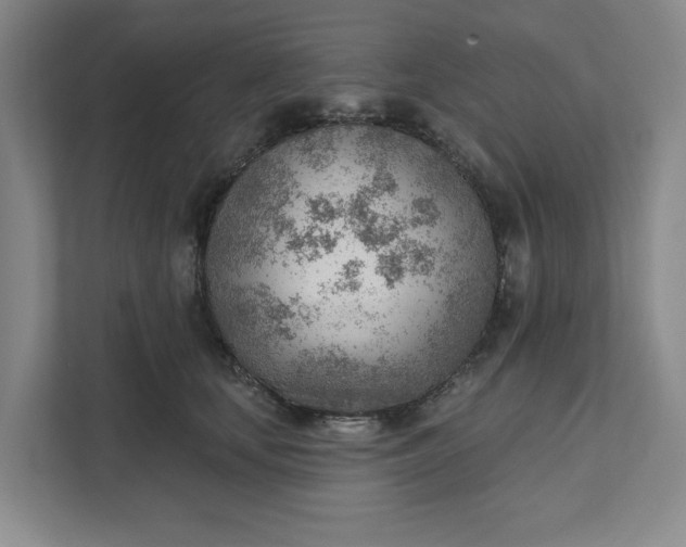 X0000111940659200908101203