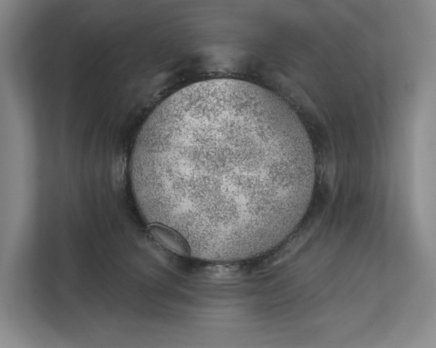 X0000111940660200908101203