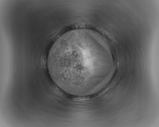 X0000111940661200908101203