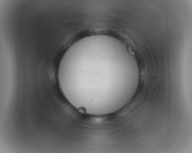 X0000111940662200908101203