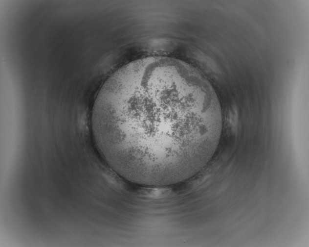 X0000111940663200908101203