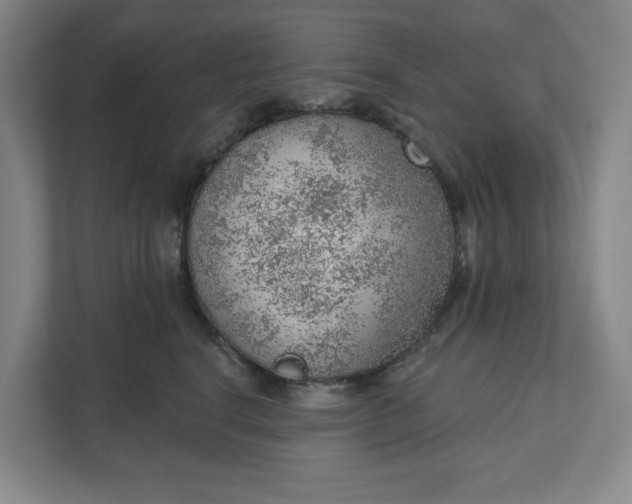 X0000111940664200908101203