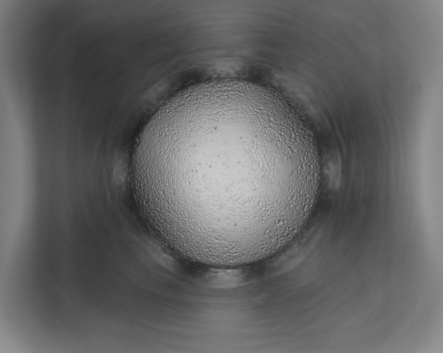 X0000111940665200908101203