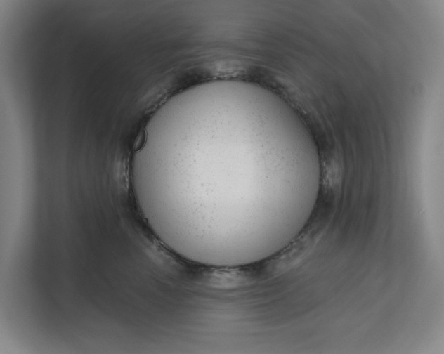 X0000111940666200908101203