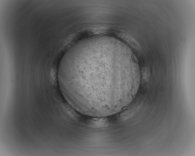 X0000111940667200908101203