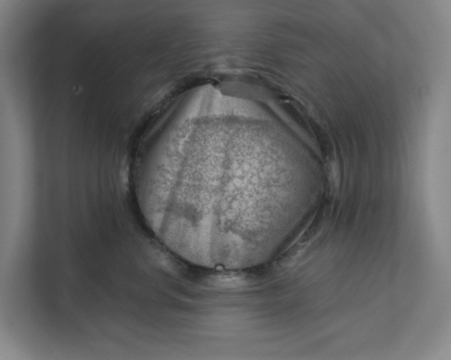 X0000111940668200908101203