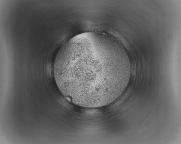 X0000111940669200908101203