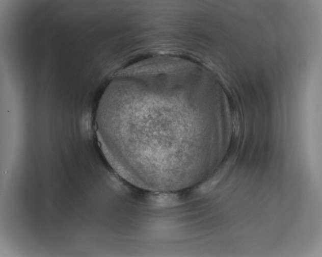 X0000111940670200908101203