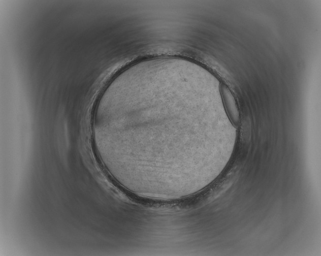 X0000111940673200908101202