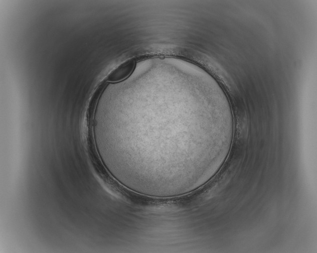 X0000111940674200908101202