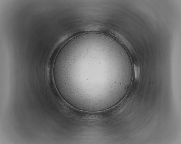 X0000111940675200908101202