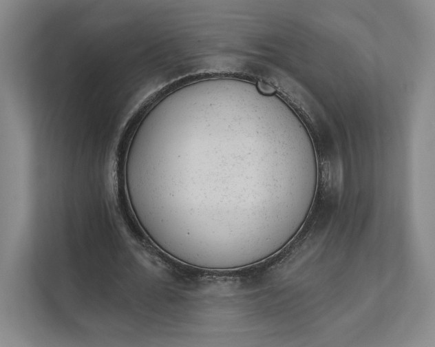 X0000111940676200908101202