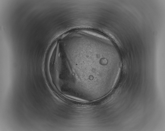 X0000111940677200908101202