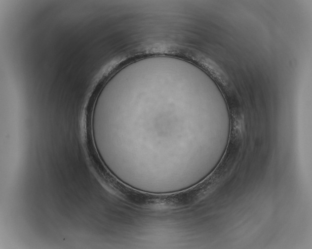 X0000111940678200908101202