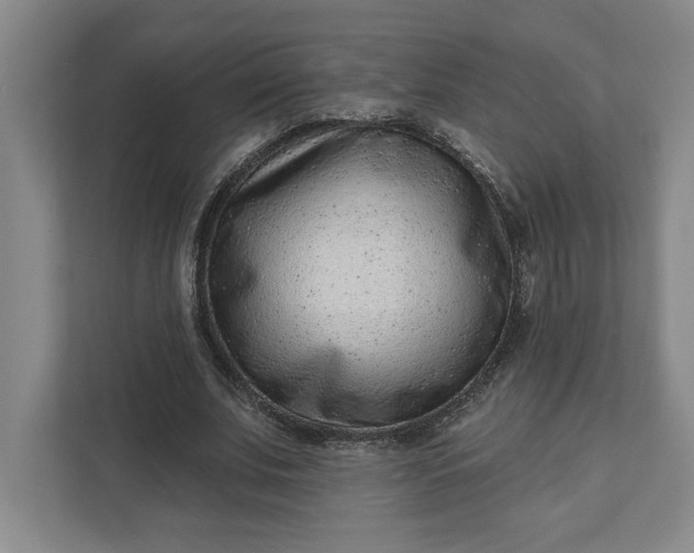 X0000111940679200908101202