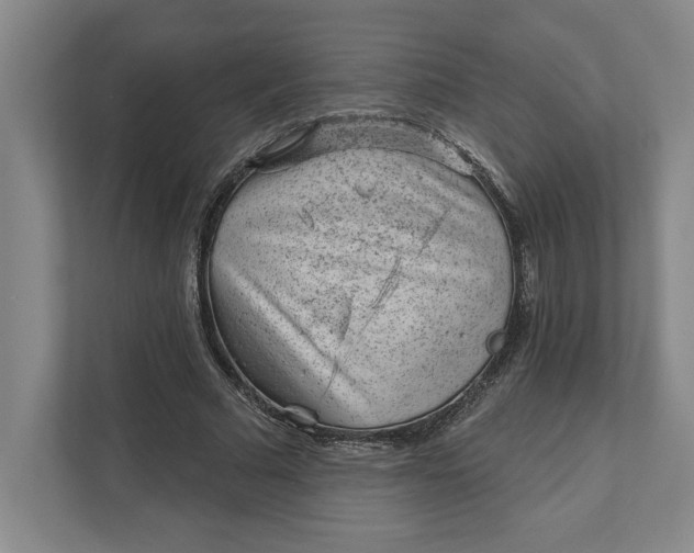 X0000111940681200908101202